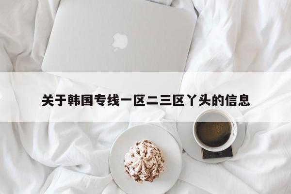 关于韩国专线一区二三区丫头的信息