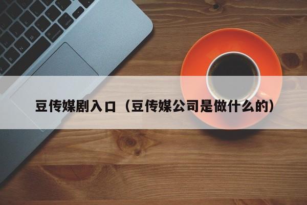 豆传媒剧入口(豆传媒公司是做什么的)