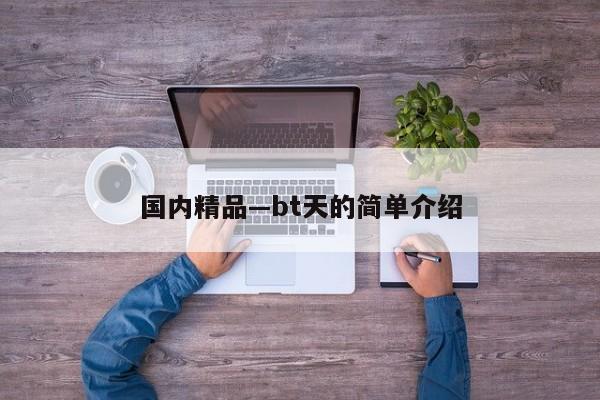 国内精品—bt天的简单介绍