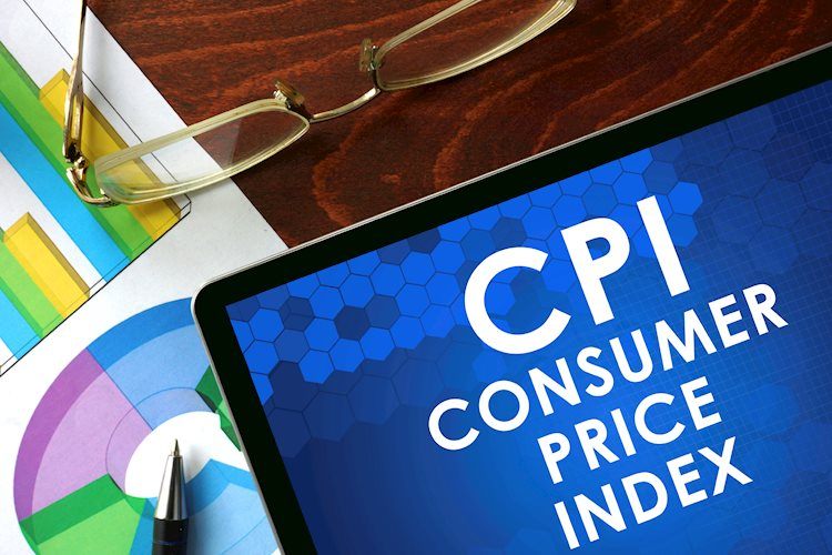 11月CPI：迈向2024年 - 富国银行