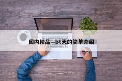 国内精品—bt天的简单介绍